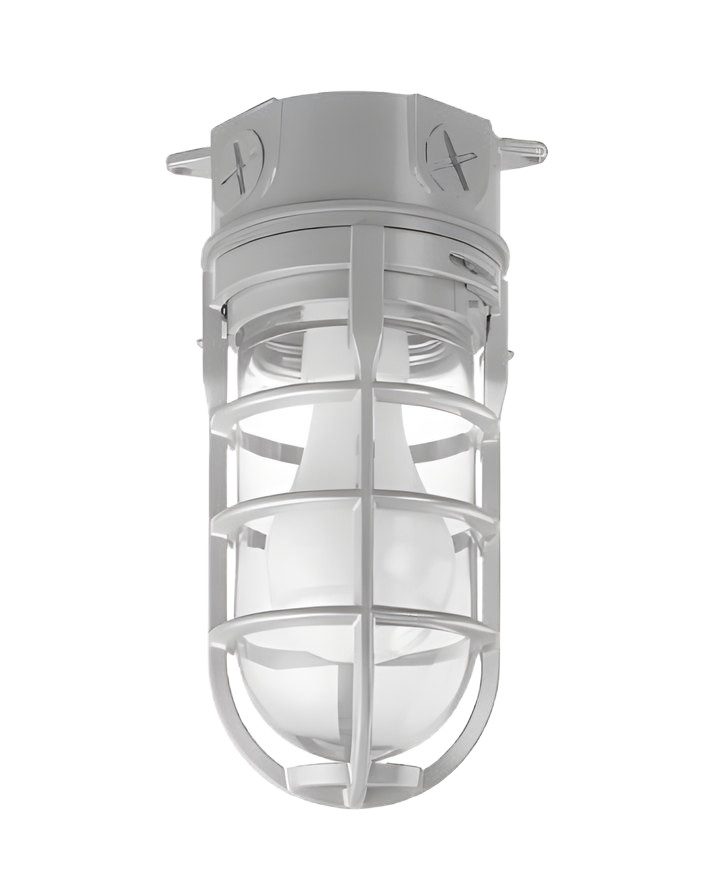 Elevator Light (Ceiling Mount) AX5858
