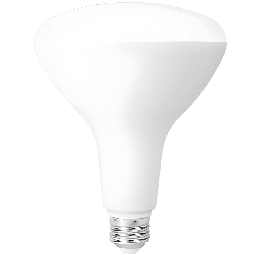 LED BR40 Lamp LED340