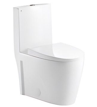 One-Piece, Dual Flush, Elongated Toilet AX-PTI-1010